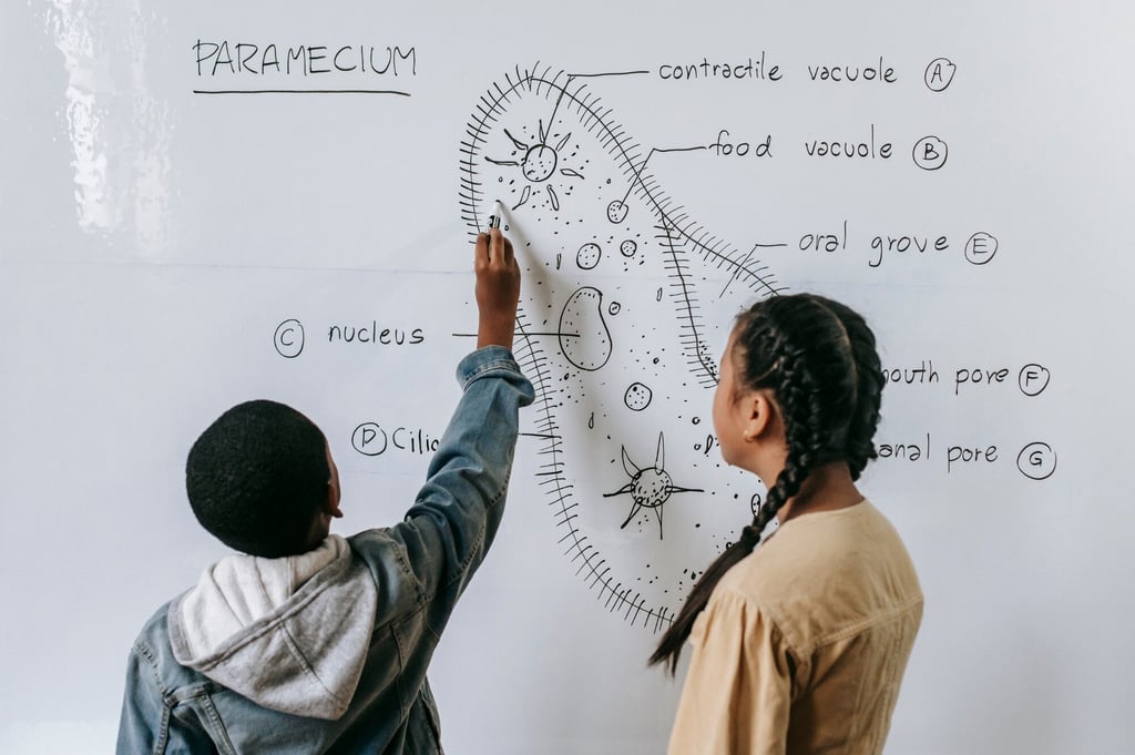 Whiteboard Wall Paint for Schoolword or Chores